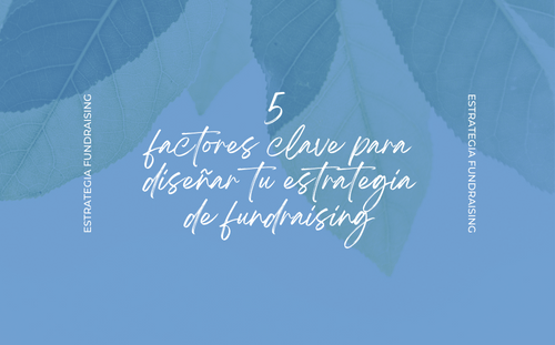 Lee más sobre el artículo 5 factores clave para revisar tu estrategia de fundraising antes de final de año￼